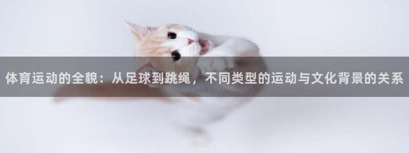 熊猫体育公园：体育运动的全貌：从足球到跳绳，不同类型的运动与文化背景的关系