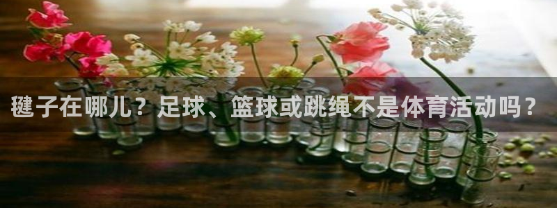 熊猫体育sports：毽子在哪儿？足球、篮球或跳绳不是体育活动吗？