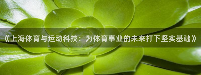 成都金熊猫体育：《上海体育与运动科技：为体育事业的未来打下坚实基础》