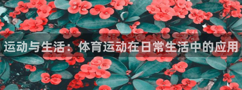 熊猫体育：运动与生活：体育运动在日常生活中的应用