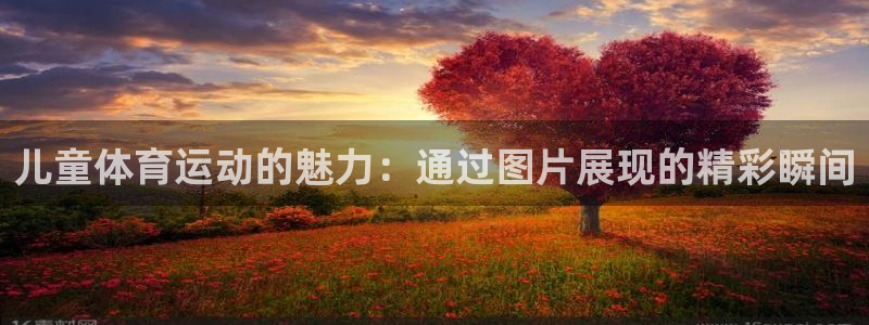 熊猫体育免费下载：儿童体育运动的魅力：通过图片展现的精彩瞬间