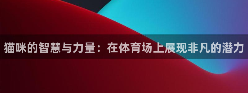 熊猫体育app官方入口：猫咪的智慧与力量：在体育场上展现非凡的潜力