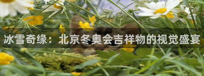 熊猫体育网址：冰雪奇缘：北京冬奥会吉祥物的视觉盛宴