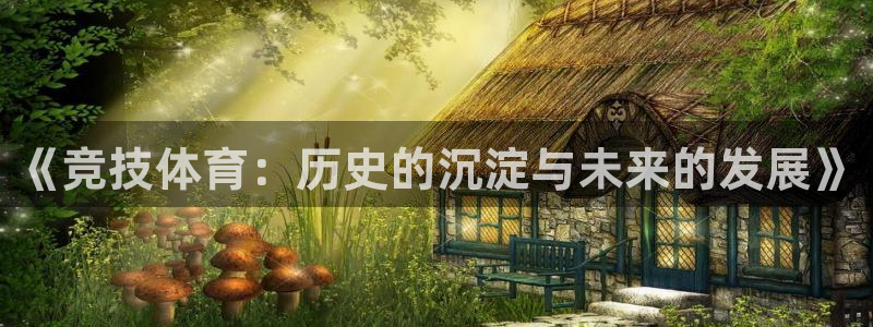 熊猫体育nba：《竞技体育：历史的沉淀与未来的发展》