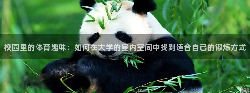 熊猫体育免费下载：校园里的体育趣味：如何在大学的室内空间中找到适合自己的锻炼方式