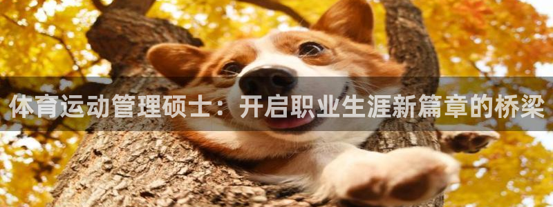 熊猫体育app下载安装：体育运动管理硕士：开启职业生涯新篇章的桥梁